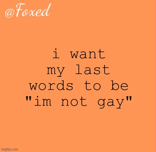 bisexual man btw | i want my last words to be "im not gay" | image tagged in foxed orange temp | made w/ Imgflip meme maker