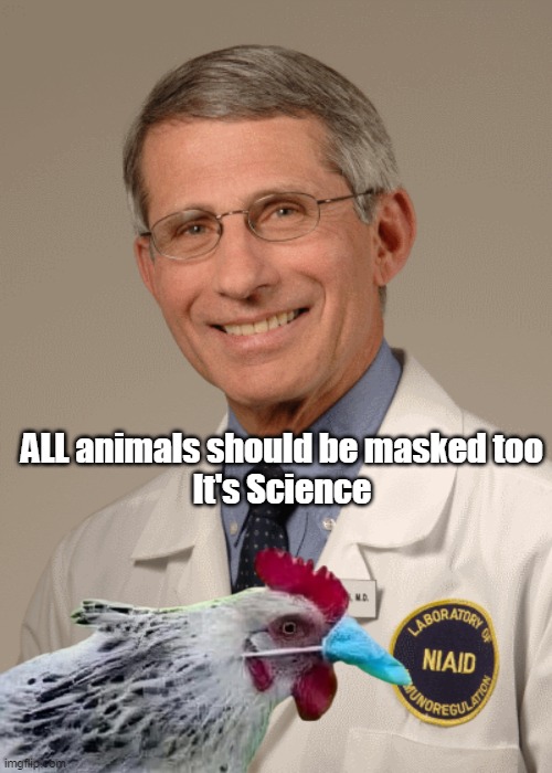ALL animals should be masked too
It's Science | made w/ Imgflip meme maker