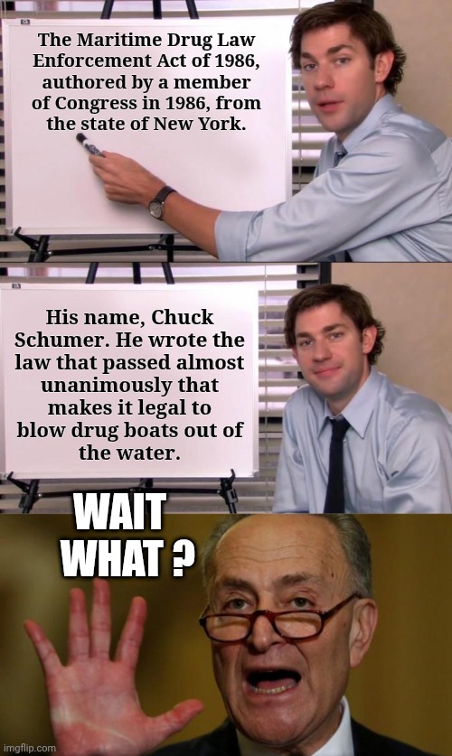 WAIT
  WHAT ? | made w/ Imgflip meme maker