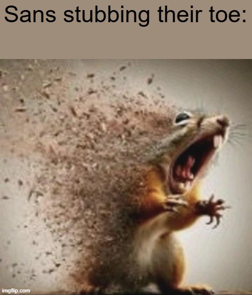memegluh: https://imgflip.com/gif/affv0b | Sans stubbing their toe: | image tagged in badass squirrel disintegrating | made w/ Imgflip meme maker