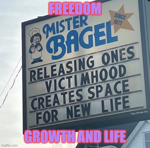 Freedom to grow and live your life | FREEDOM; GROWTH AND LIFE | image tagged in freedom,victimhood,life,personal growth | made w/ Imgflip meme maker