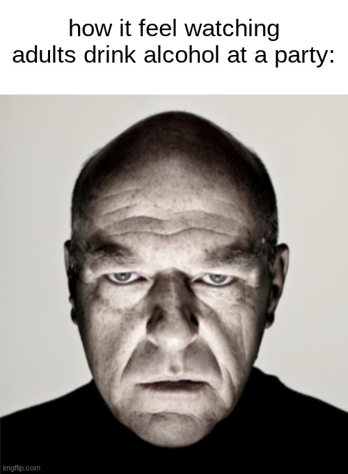 feel like everyones having a great time while u jus there. | how it feel watching adults drink alcohol at a party: | image tagged in dean norris mad | made w/ Imgflip meme maker