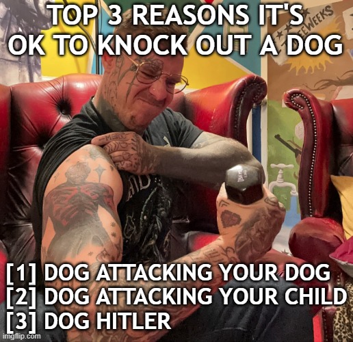 Top 3 reasons to punch a dog | TOP 3 REASONS IT'S OK TO KNOCK OUT A DOG; [1] DOG ATTACKING YOUR DOG
[2] DOG ATTACKING YOUR CHILD
[3] DOG HITLER | image tagged in funny,shayne smith,dog,punching,self defense | made w/ Imgflip meme maker