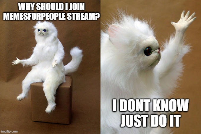 Persian Cat Room Guardian Meme | WHY SHOULD I JOIN MEMESFORPEOPLE STREAM? I DONT KNOW JUST DO IT | image tagged in memes,persian cat room guardian | made w/ Imgflip meme maker