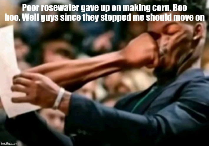 Jimmy butler punched | Poor rosewater gave up on making corn. Boo hoo. Well guys since they stopped me should move on | image tagged in jimmy butler punched | made w/ Imgflip meme maker