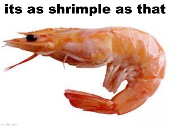 its as shrimple as that | image tagged in shrimply | made w/ Imgflip meme maker