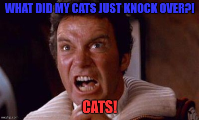 khan | WHAT DID MY CATS JUST KNOCK OVER?! CATS! | image tagged in khan | made w/ Imgflip meme maker