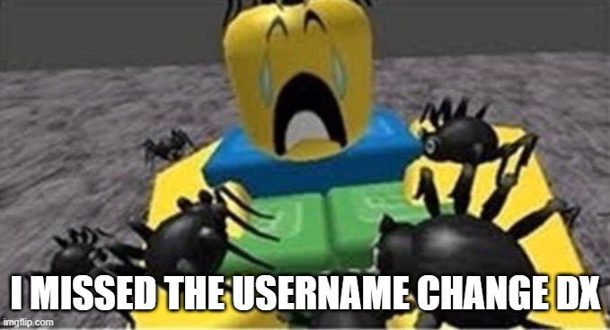 Escape from the Scary Spiders!! | I MISSED THE USERNAME CHANGE DX | image tagged in escape from the scary spiders | made w/ Imgflip meme maker