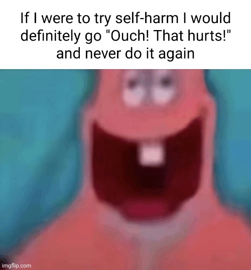 as someone who did that I agree | image tagged in self harm | made w/ Imgflip meme maker