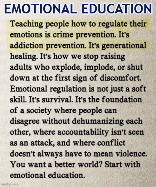 Emotional Education | EMOTIONAL EDUCATION | image tagged in emotional intelligence,education,society,mental health,functional | made w/ Imgflip meme maker