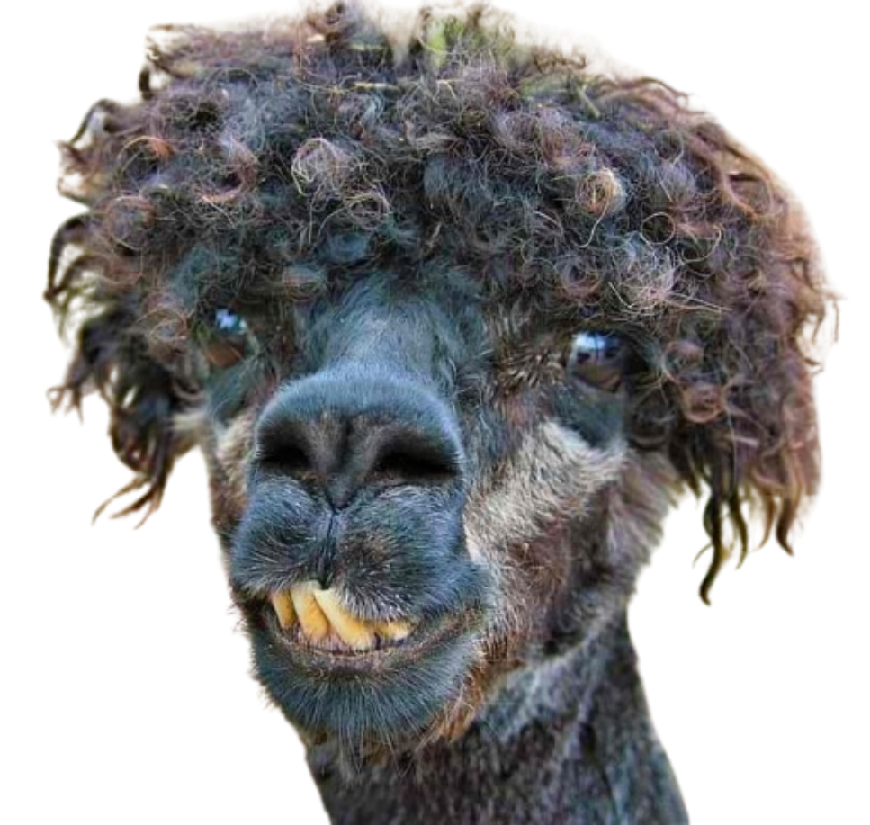 Look at me Blank Meme Template