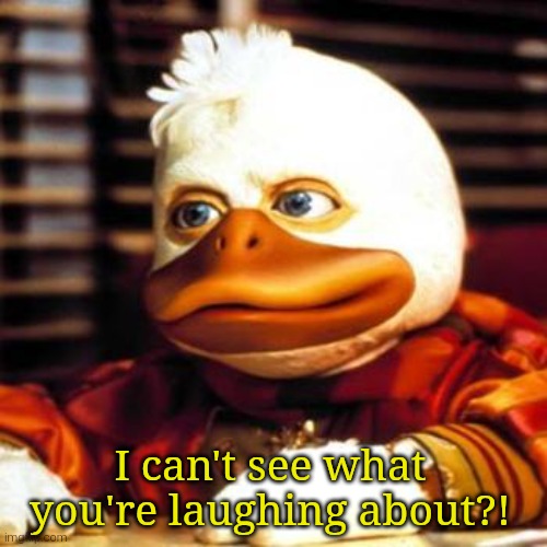 howard the duck | I can't see what you're laughing about?! | image tagged in howard the duck | made w/ Imgflip meme maker