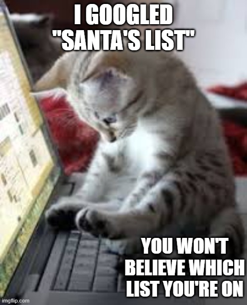 Cat goes on computer to find out which of Santa's list you are on. | I GOOGLED "SANTA'S LIST"; YOU WON'T BELIEVE WHICH LIST YOU'RE ON | image tagged in cat,kittens,funny,humor,christmas,santa claus | made w/ Imgflip meme maker