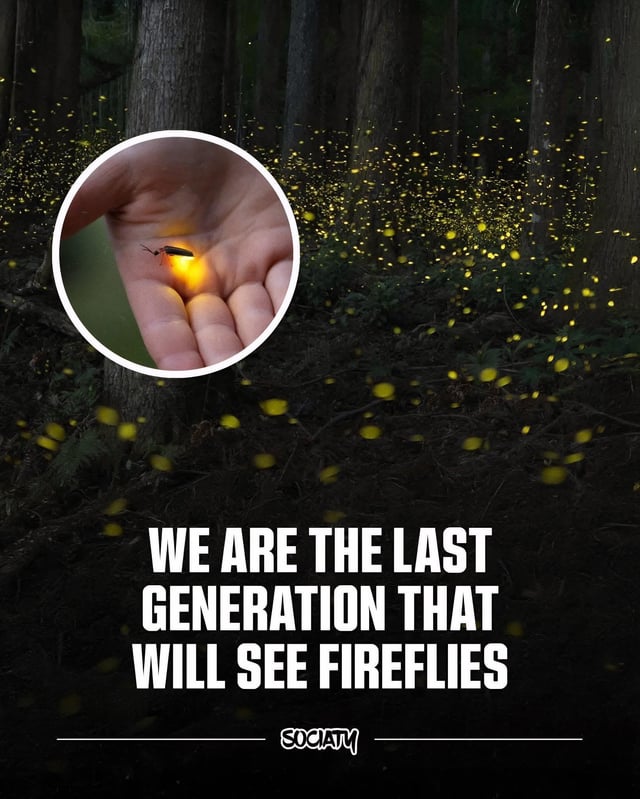 Firefly Blank Meme Template