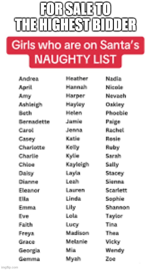 I'm selling Santa's "naughty girls list" to the highest bidder. | FOR SALE TO THE HIGHEST BIDDER | image tagged in funny,humor,santa naughty list,christmas,santa claus,merry christmas | made w/ Imgflip meme maker