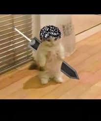 Guts cat Blank Meme Template