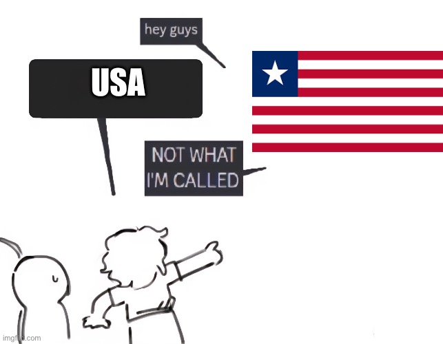 I mean it does kinda look like USA’s flag not gonna lie | USA | image tagged in not what im called | made w/ Imgflip meme maker