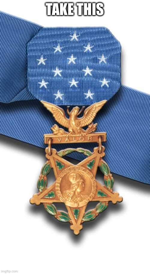 United States Navy Marine Corps Medal of Honor | TAKE THIS | image tagged in united states navy marine corps medal of honor | made w/ Imgflip meme maker