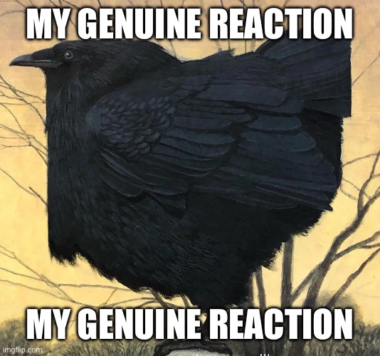 My genuine reaction | MY GENUINE REACTION; MY GENUINE REACTION | image tagged in ohio bird | made w/ Imgflip meme maker