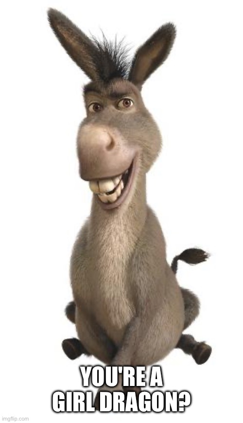 Donkey from Shrek | YOU'RE A GIRL DRAGON? | image tagged in donkey from shrek | made w/ Imgflip meme maker