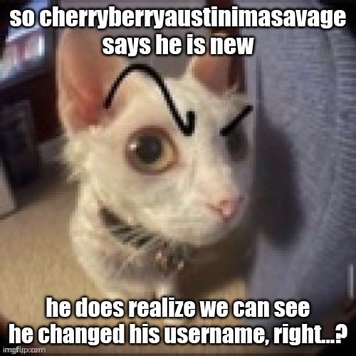 bro isnt new | so cherryberryaustinimasavage says he is new; he does realize we can see he changed his username, right…? | image tagged in what | made w/ Imgflip meme maker