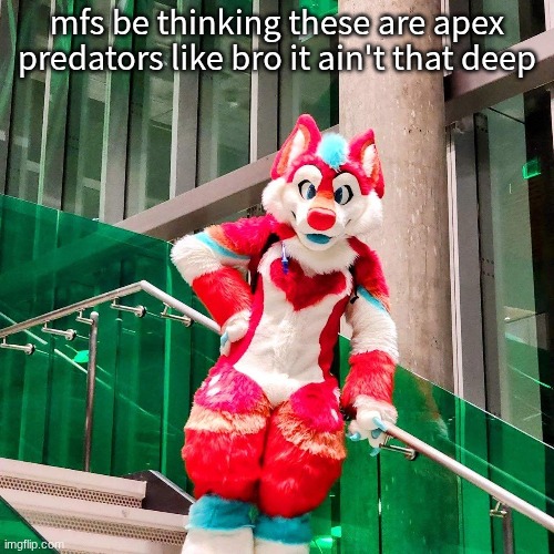 and they always do a furry stream raid :/ | mfs be thinking these are apex predators like bro it ain't that deep | image tagged in furry,anti furry | made w/ Imgflip meme maker