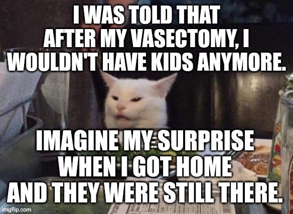 Smudge that darn cat | I WAS TOLD THAT AFTER MY VASECTOMY, I WOULDN'T HAVE KIDS ANYMORE. IMAGINE MY SURPRISE WHEN I GOT HOME AND THEY WERE STILL THERE. | image tagged in smudge that darn cat | made w/ Imgflip meme maker