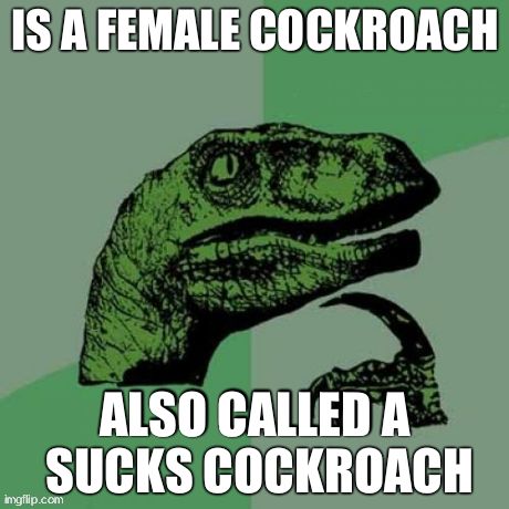 Philosoraptor | IS A FEMALE COCKROACH ALSO CALLED A SUCKS COCKROACH | image tagged in memes,philosoraptor | made w/ Imgflip meme maker