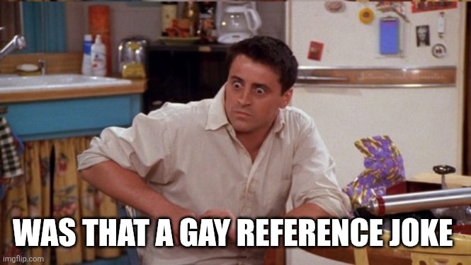 joey wide eyes | WAS THAT A GAY REFERENCE JOKE | image tagged in joey wide eyes | made w/ Imgflip meme maker