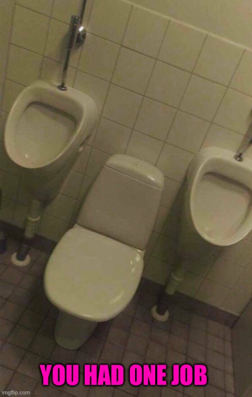 Well this is an odd bathroom situation | YOU HAD ONE JOB | image tagged in you had one job,you had one job just the one,task failed successfully,fail army,public restrooms,you're fired | made w/ Imgflip meme maker