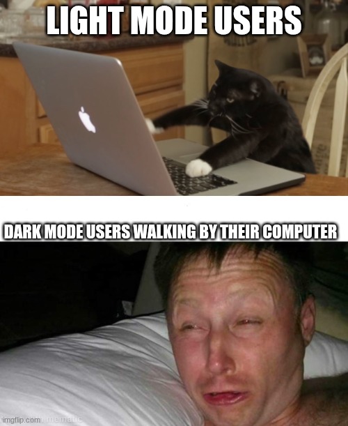 LIGHT MODE USERS; DARK MODE USERS WALKING BY THEIR COMPUTER | image tagged in furiously typing cat,wow that's bright | made w/ Imgflip meme maker