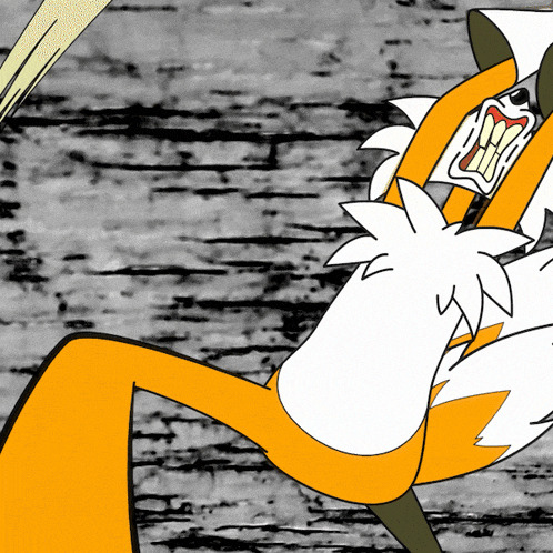 sh tails Blank Meme Template