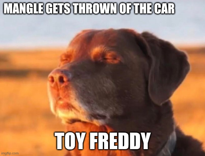 FNAF 2 movie meme | MANGLE GETS THROWN OF THE CAR; TOY FREDDY | image tagged in dog in sunset | made w/ Imgflip meme maker