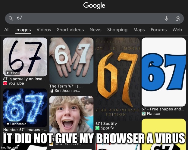 IT DID NOT GIVE MY BROWSER A VIRUS | made w/ Imgflip meme maker