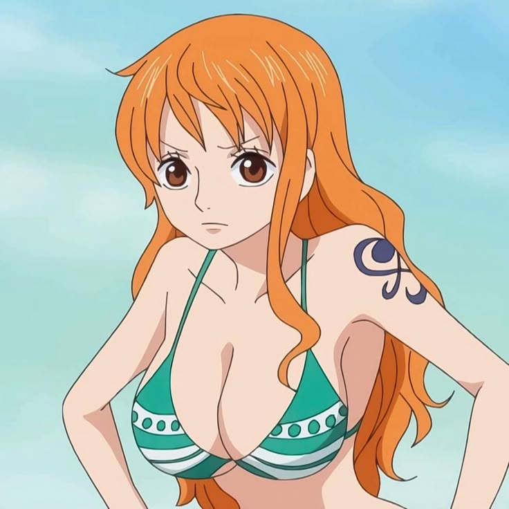 Nami Swam Blank Meme Template