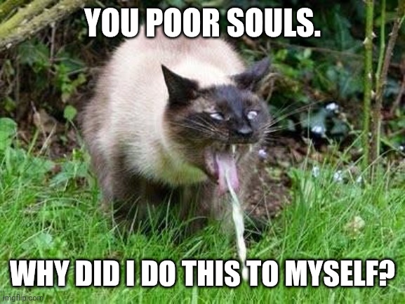 Cat Barfing | YOU POOR SOULS. WHY DID I DO THIS TO MYSELF? | image tagged in cat barfing | made w/ Imgflip meme maker