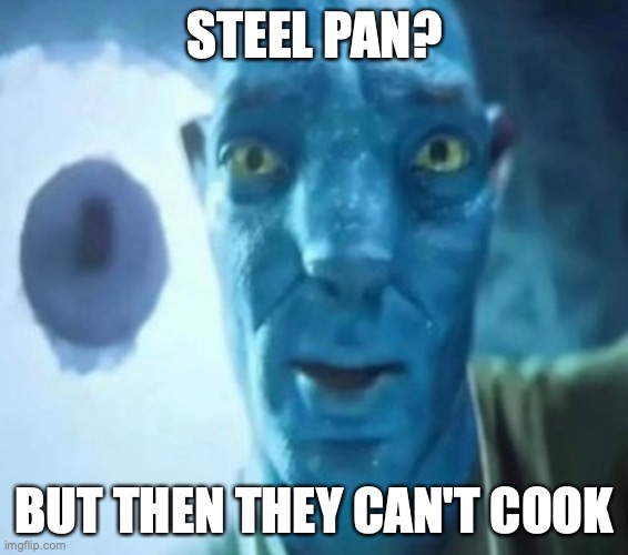 Steel Pan? | STEEL PAN? BUT THEN THEY CAN'T COOK | image tagged in avatar guy | made w/ Imgflip meme maker
