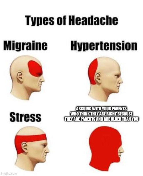 Headaches | ARGUING WITH YOUR PARENTS WHO THINK THEY ARE RIGHT BECAUSE THEY ARE PARENTS AND ARE OLDER THAN YOU | image tagged in headaches | made w/ Imgflip meme maker