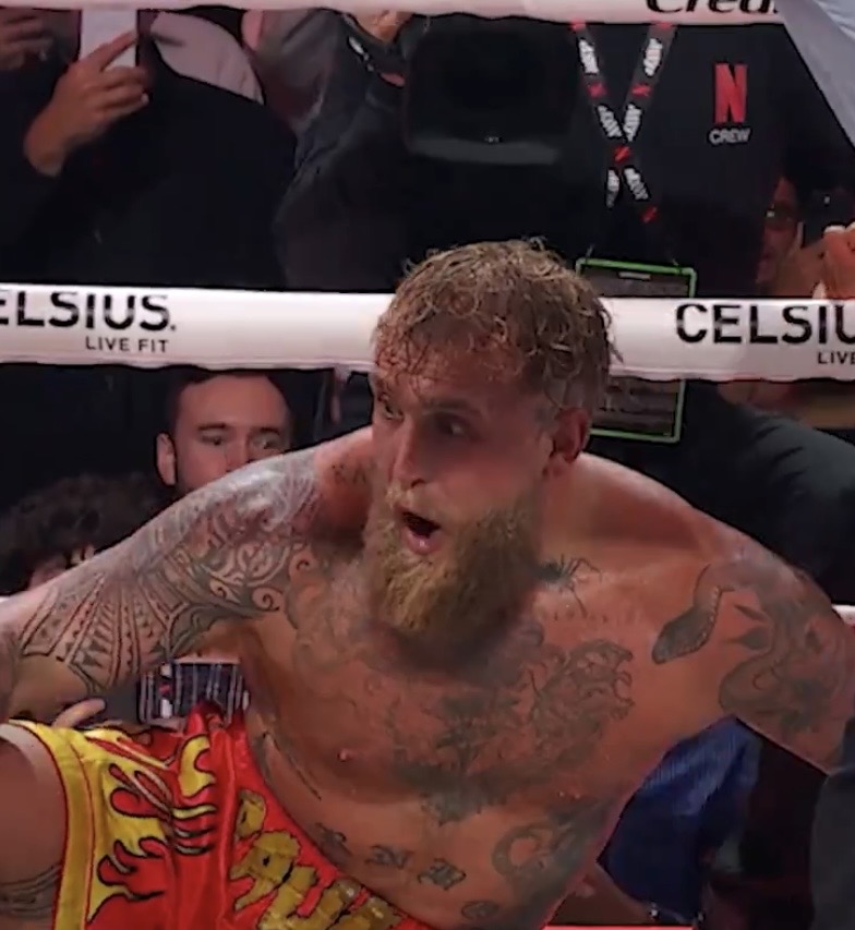 Jake Paul knockdown Blank Meme Template