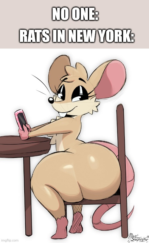 New York Rats | NO ONE:; RATS IN NEW YORK: | image tagged in new york,rats | made w/ Imgflip meme maker