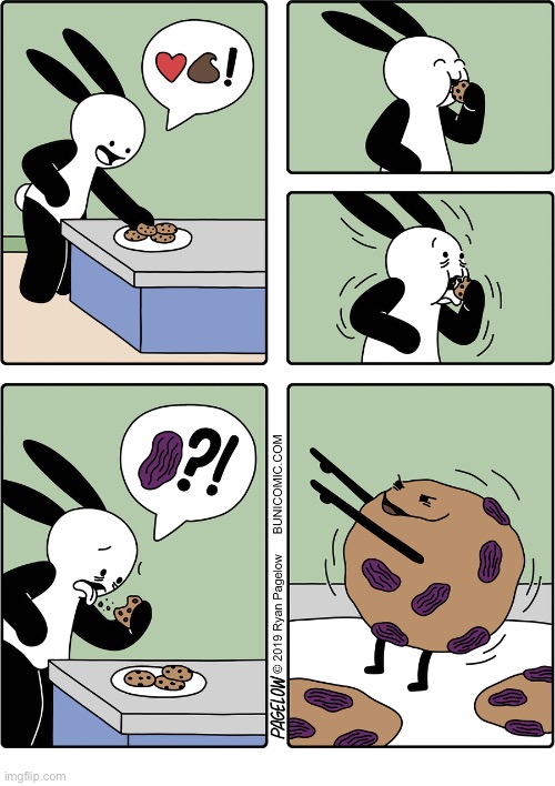 Buni Comics | image tagged in comics,buni comics,cookies,raisins,not chocolate chips | made w/ Imgflip meme maker