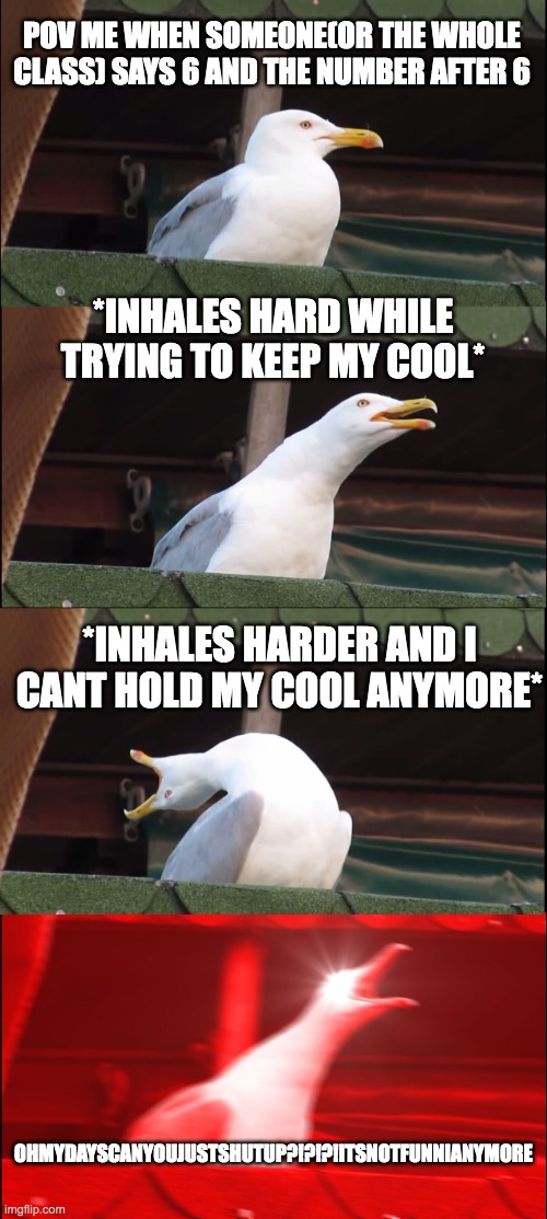 of course, especially user PHIMOWHALE | POV ME WHEN SOMEONE(OR THE WHOLE CLASS) SAYS 6 AND THE NUMBER AFTER 6; *INHALES HARD WHILE TRYING TO KEEP MY COOL*; *INHALES HARDER AND I CANT HOLD MY COOL ANYMORE*; OHMYDAYSCANYOUJUSTSHUTUP?!?!?!ITSNOTFUNNIANYMORE | image tagged in memes,inhaling seagull,67,all my homies hate | made w/ Imgflip meme maker