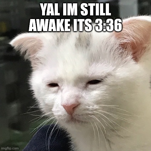 I'm awake, but at what cost? | YAL IM STILL AWAKE ITS 3:36 | image tagged in i'm awake but at what cost | made w/ Imgflip meme maker