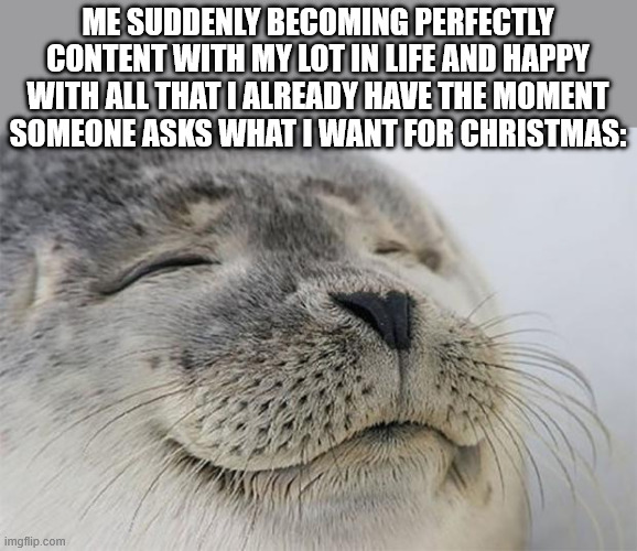 Satisfied Seal Meme | ME SUDDENLY BECOMING PERFECTLY CONTENT WITH MY LOT IN LIFE AND HAPPY WITH ALL THAT I ALREADY HAVE THE MOMENT SOMEONE ASKS WHAT I WANT FOR CHRISTMAS: | image tagged in memes,satisfied seal,help,christmas presents,i don't know | made w/ Imgflip meme maker
