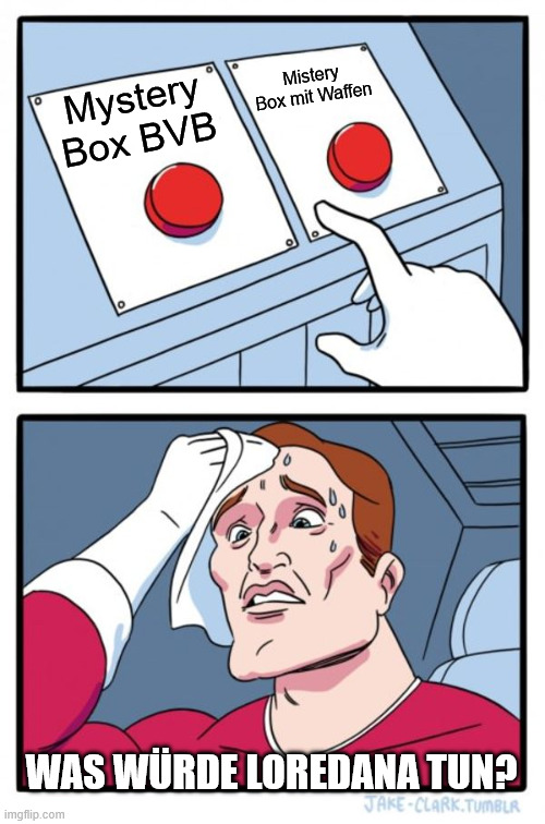 Two Buttons Meme | Mistery Box mit Waffen; Mystery Box BVB; WAS WÜRDE LOREDANA TUN? | image tagged in memes,two buttons | made w/ Imgflip meme maker