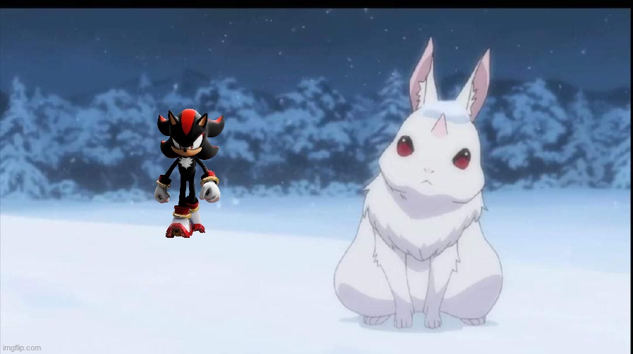what bro batu do to him | image tagged in re zero the great rabbit,shadow the hedgehog | made w/ Imgflip meme maker