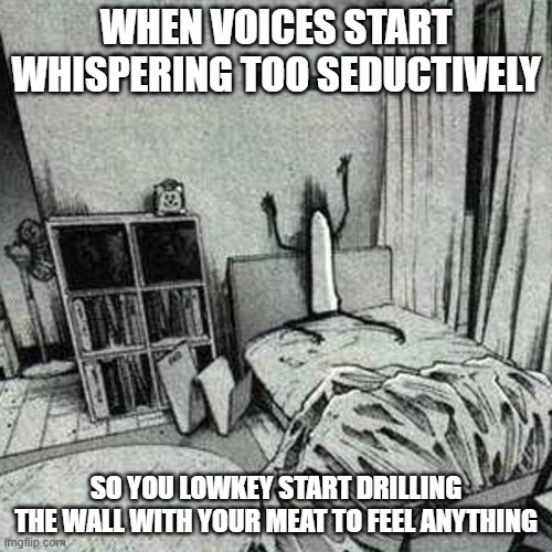 WHEN VOICES START WHISPERING TOO SEDUCTIVELY; SO YOU LOWKEY START DRILLING THE WALL WITH YOUR MEAT TO FEEL ANYTHING | image tagged in literally,me | made w/ Imgflip meme maker
