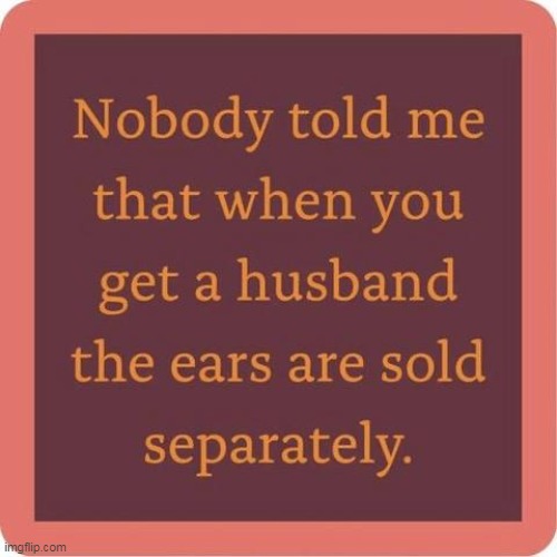 Wut? | image tagged in husband meme | made w/ Imgflip meme maker