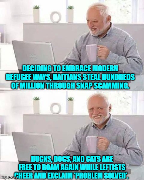 Modern problems require modern solution, yes? | DECIDING TO EMBRACE MODERN REFUGEE WAYS, HAITIANS STEAL HUNDREDS OF MILLION THROUGH SNAP SCAMMING. DUCKS, DOGS, AND CATS ARE FREE TO ROAM AGAIN WHILE LEFTISTS CHEER AND EXCLAIM 'PROBLEM SOLVED'. | image tagged in hide the pain harold | made w/ Imgflip meme maker