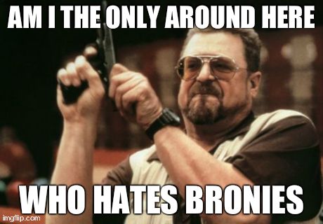 Am I The Only One Around Here | AM I THE ONLY AROUND HERE WHO HATES BRONIES | image tagged in memes,am i the only one around here | made w/ Imgflip meme maker